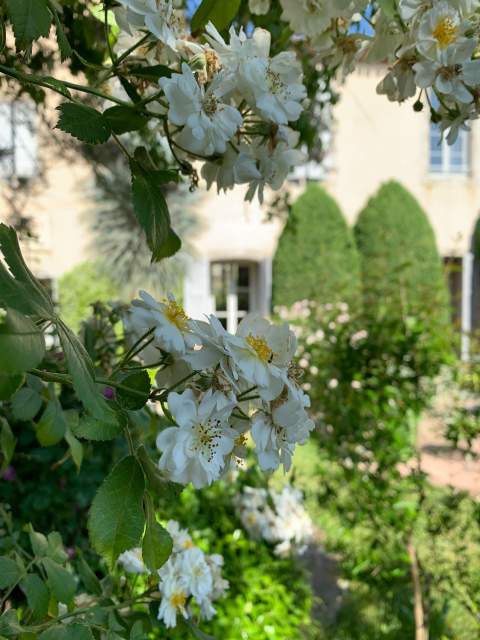 Château de Siran · Hôtel Spa Restaurant Hérault · Galerie Photos 